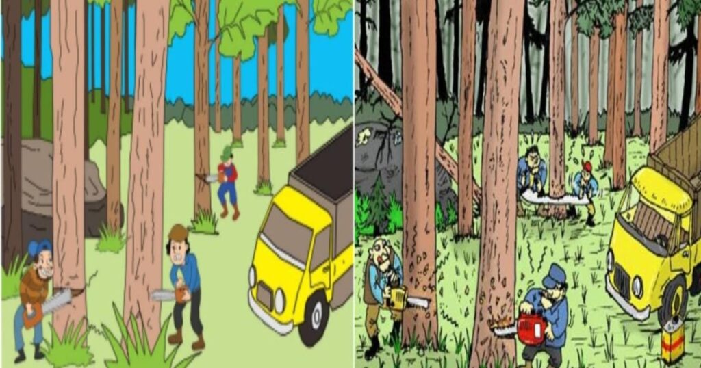 Direktur PT BMC Ditangkap Terkait Kayu Ilegal Papua, DPN FAMI Kantongi Daftar Perusahaan Pelanggar Hukum